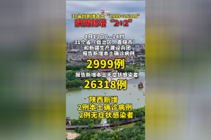 31省新增1本土确诊,31省新增1例本土病例