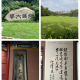 上海新增-上海新增双一流高校