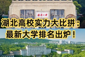 湖北新增.湖北新增本科院校