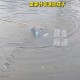 「河南最新消息」〃溺水救人 河南最新消息