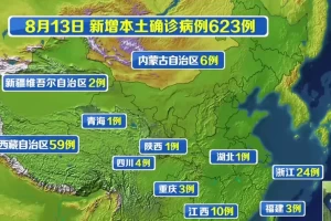31省新增本土确诊10例〃31省新增本土确诊13例