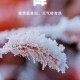 吉林确诊曾赴北京-吉林确诊行动轨迹