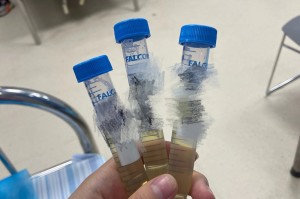 31省份新增37例本土确诊〃31省份新增33例确诊其中本土19例