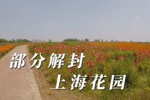 【上海什么时候能解封/上海啥时候能解封】