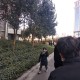 石家庄新增35例确诊:含多名儿童〃石家庄新增35例本地确诊