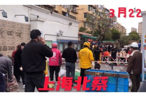 上海北蔡疫情,上海北蔡防疫站电话