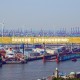 31省新增16例〃31省新增16例确诊本土13例