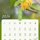 2024高速免费时间表最新公布︰(202年高速路免费)