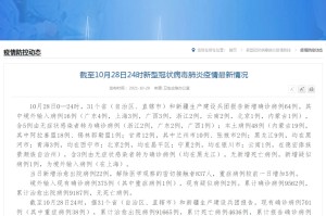 广东新增本土确诊28例.广东新增本土确诊20例