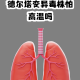 专家解读新冠变异毒株风险.专家解读新冠变异毒株风险预测