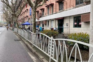 包含上海现有本土感染者超10万例的词条