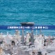 上海新增本土死亡12例︰(上海 新增 本土)