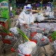 “河北新增33例本土确诊40例无症状” 河北新增33例本土39例无症状？