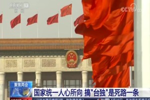 北京5天已报告106例确诊病例.北京连续五天累计确诊新冠肺炎人数