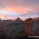 新疆新增31例本土病例,新疆新增本土病例29例