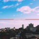 全国各城市感染高峰进度百度,全国感染地区