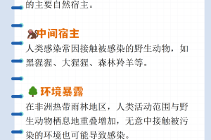 【多地疫情源头已找到/疫情源头查清了吗】