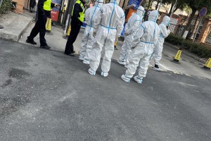 上海新增本土确诊2494-上海新增本土确诊2494例