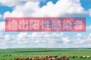 内蒙古新增本土7例︰(内蒙古新增本土确诊8例)
