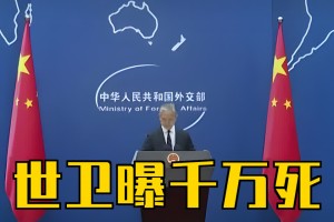 世界卫生组织宣布疫情结束.世界卫生组织 疫情结束的标准