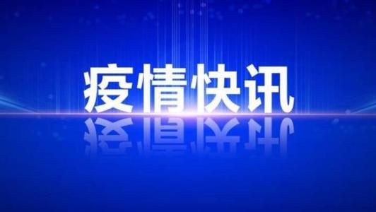 重庆市新增本土确诊病例3例-重庆市新增确诊病例35例,累计确诊病例110例-第1张图片