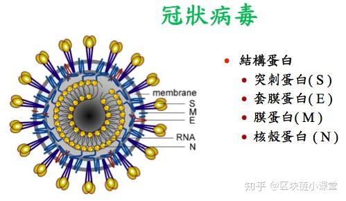 “美国新型冠状病毒最新消息” 美国新型冠状最新情况？-第3张图片