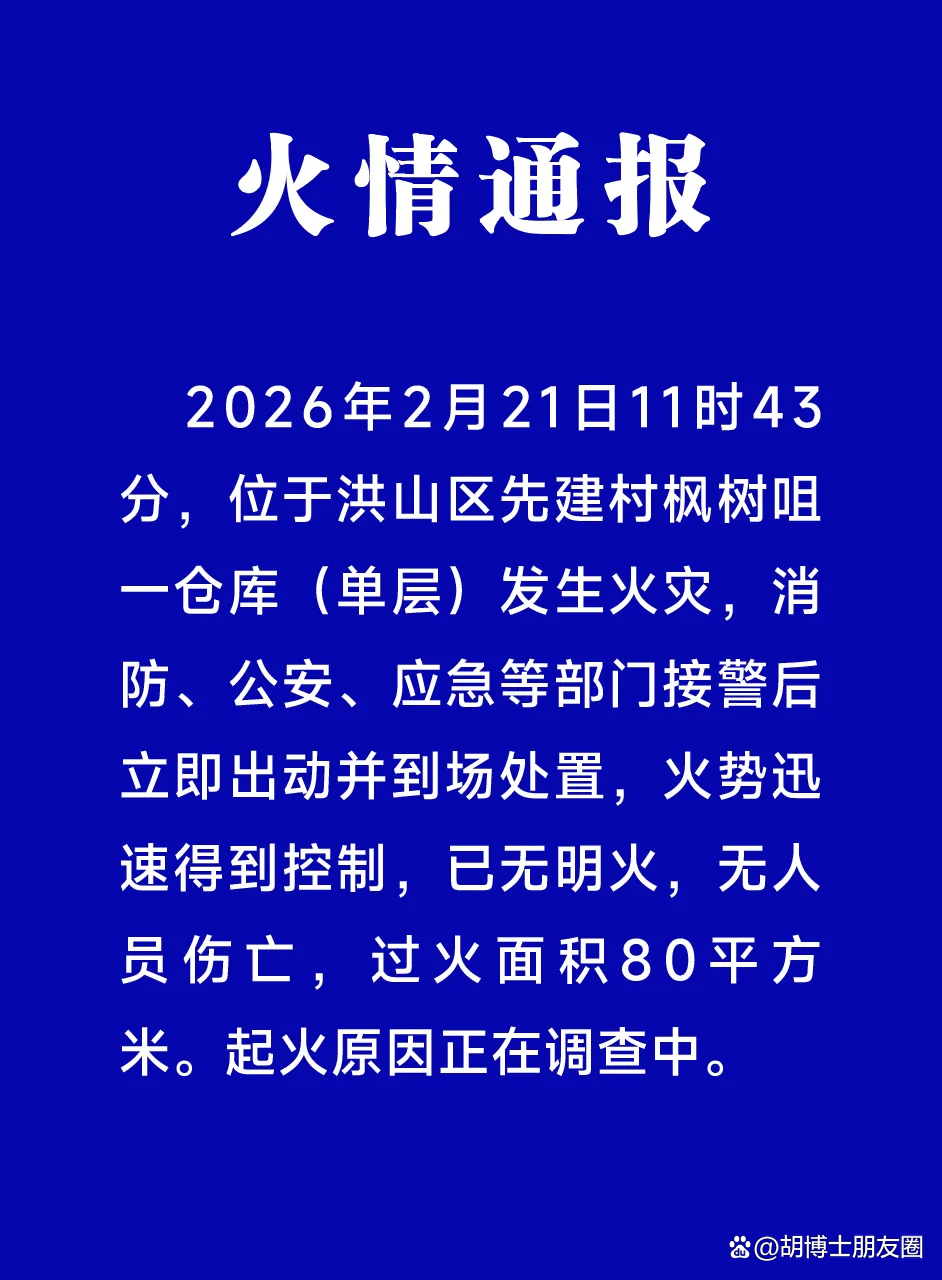 武汉今天又新增了.武汉市今天新增疑似病例-第2张图片