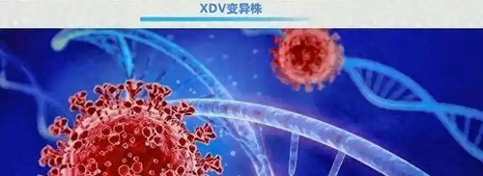 专家:新冠再变异可能性较低︰(新冠病毒再度变异)-第2张图片