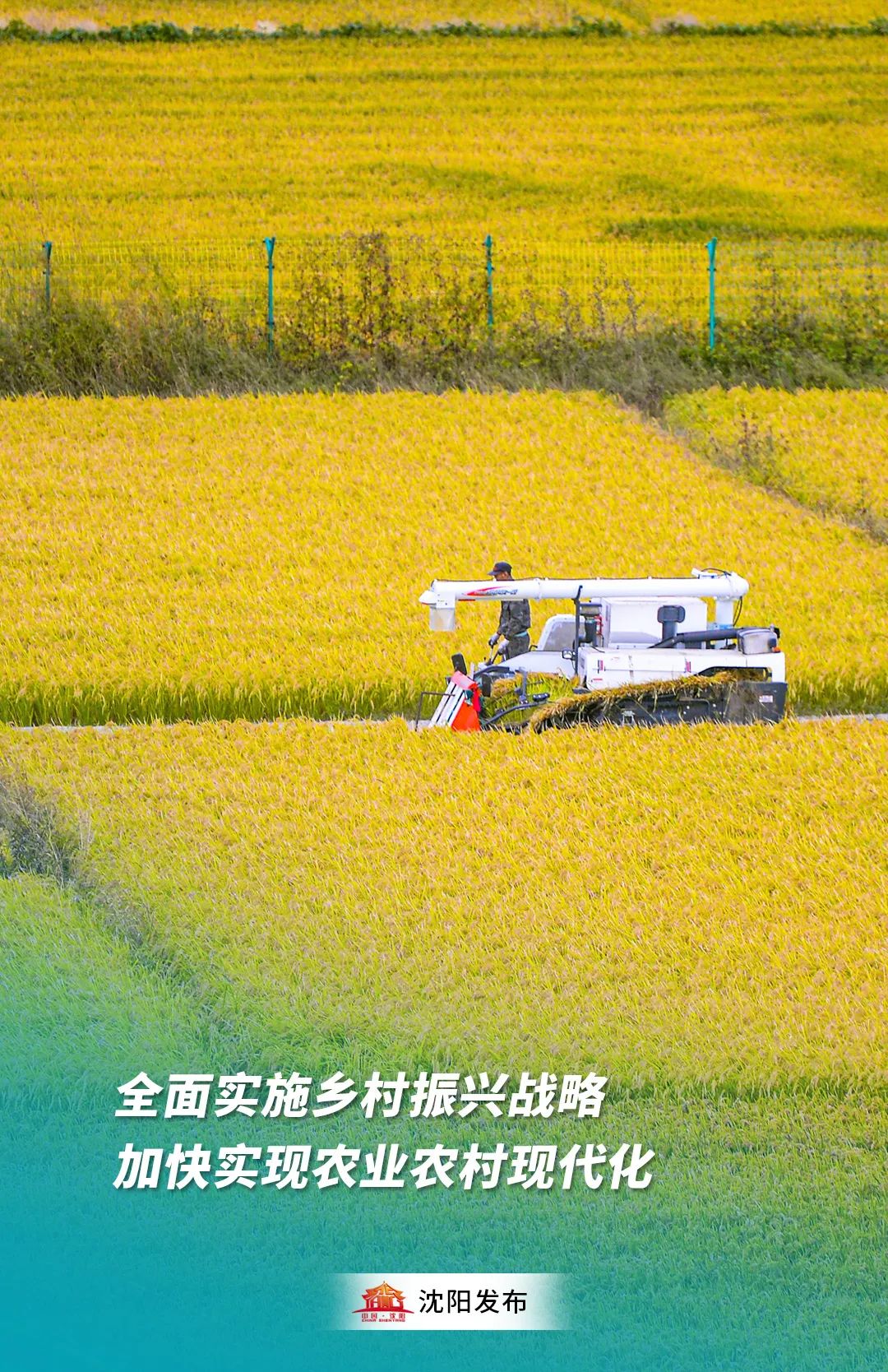 「辽宁沈阳最新疫情」〃辽宁沈阳疫情最新情况今日新增-第3张图片