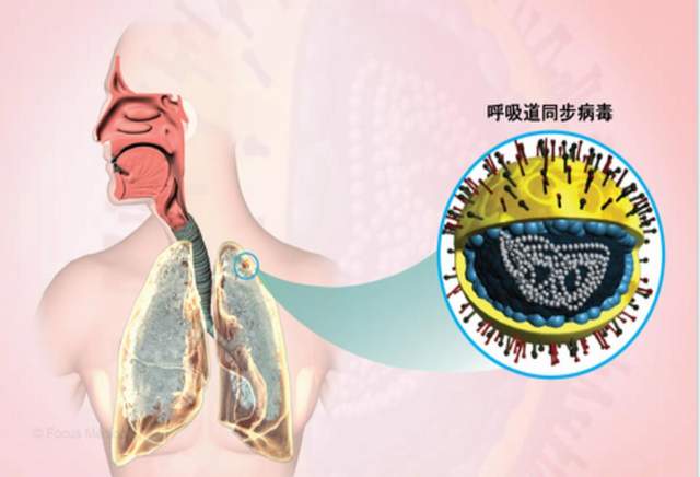 “上海确诊” 上海确诊人数正在上升!尚无特效治疗药,这类人特别注意？-第1张图片