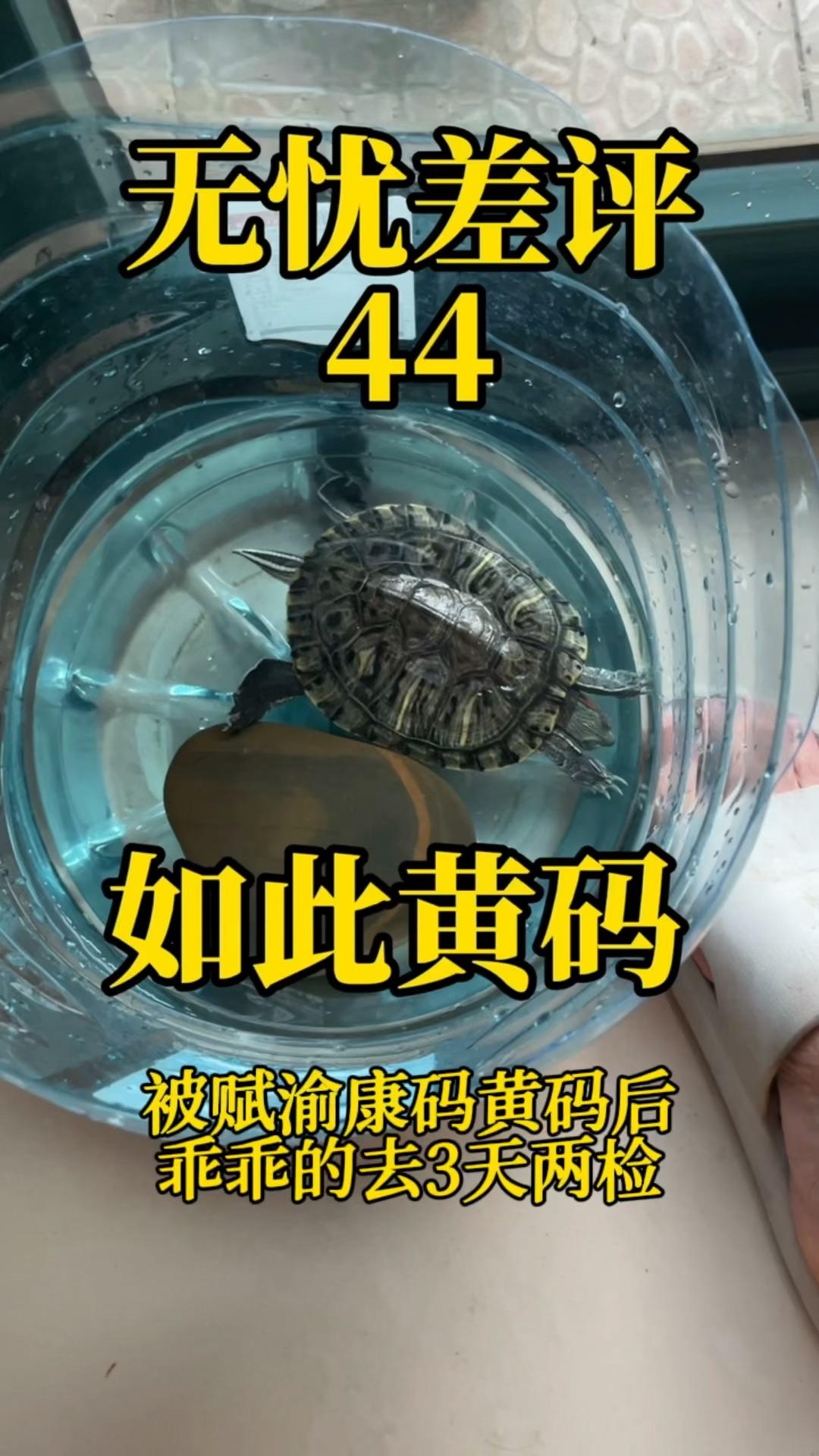 昆明本轮疫情7万余人被赋黄码︰(昆明出现黄码)-第1张图片
