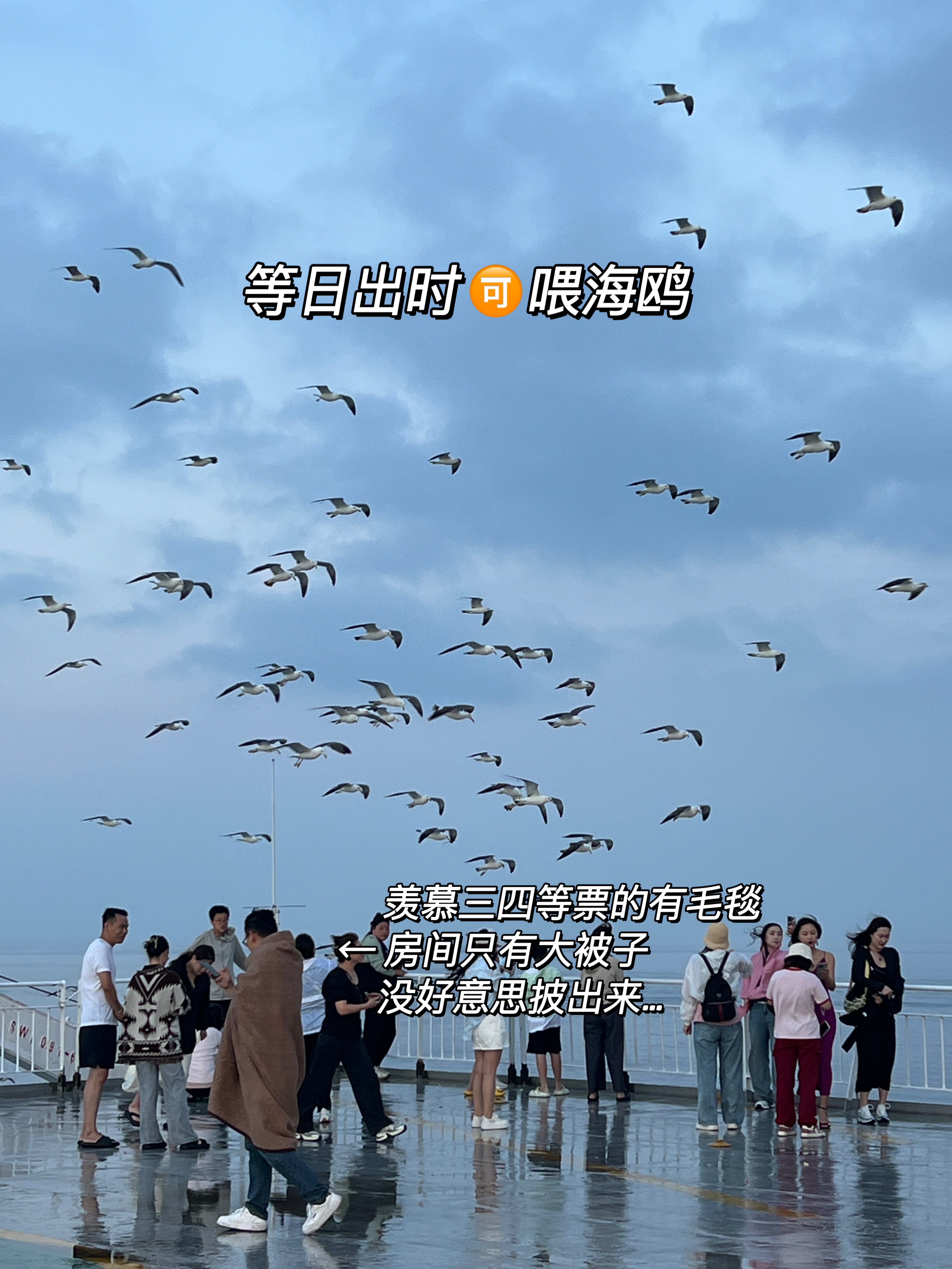 大连到烟台船-大连到烟台船票时刻表及费用-第3张图片
