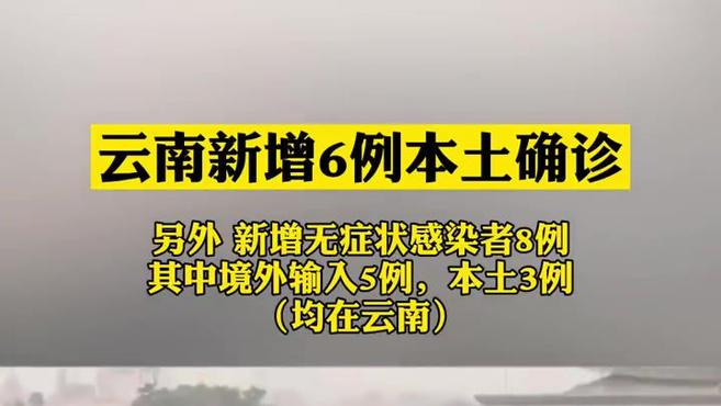 【云南新增本土确诊病例12例/云南新增本土确诊病例12例详情】-第2张图片