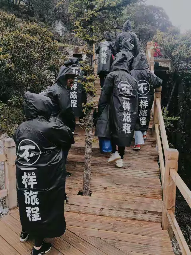 “媒体：大面积感染保定很淡定” 保定感染人数？-第2张图片